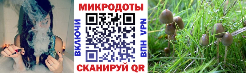 Галлюциногенные грибы ЛСД  Кукмор 